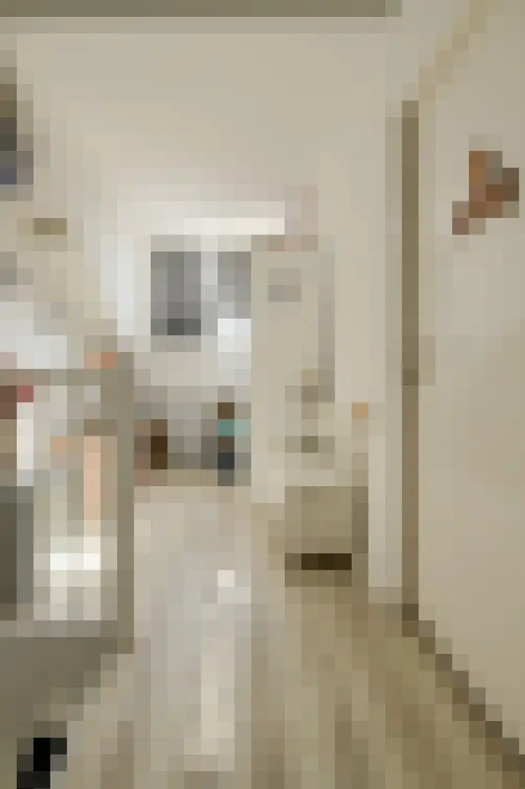 Felixberg 10 Breda thumbnail 39