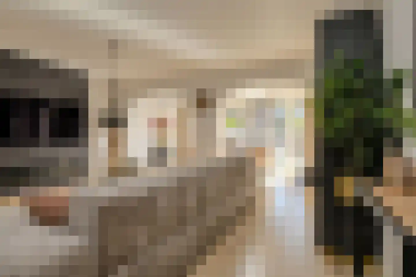 Felixberg 10 Breda thumbnail 5