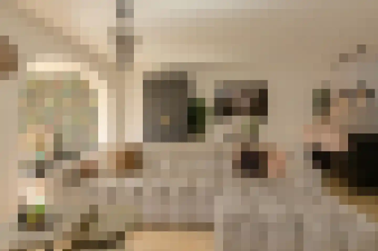 Felixberg 10 Breda thumbnail 7