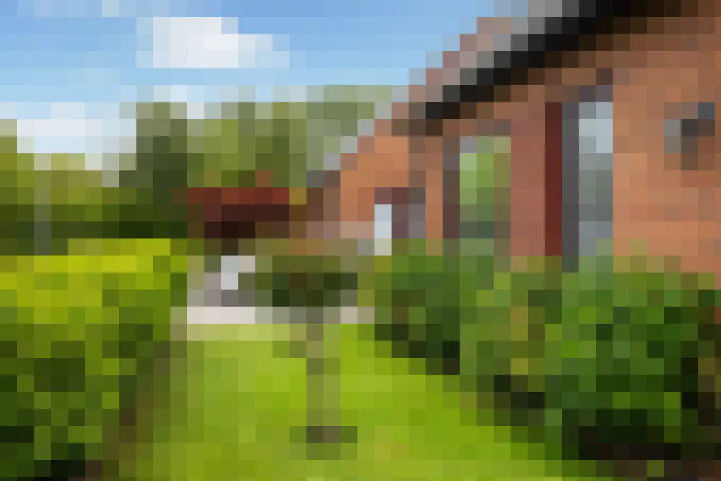 Felixwei 21 Stiens thumbnail 39