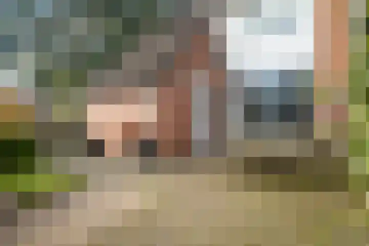 Felixwei 43 Stiens thumbnail 21