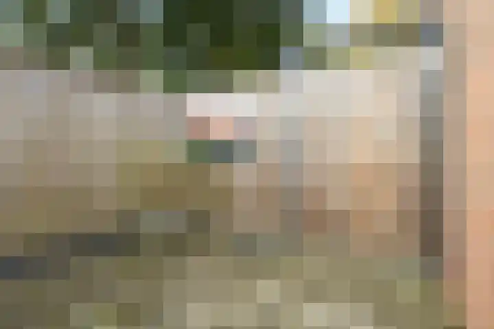 Felixwei 43 Stiens thumbnail 24