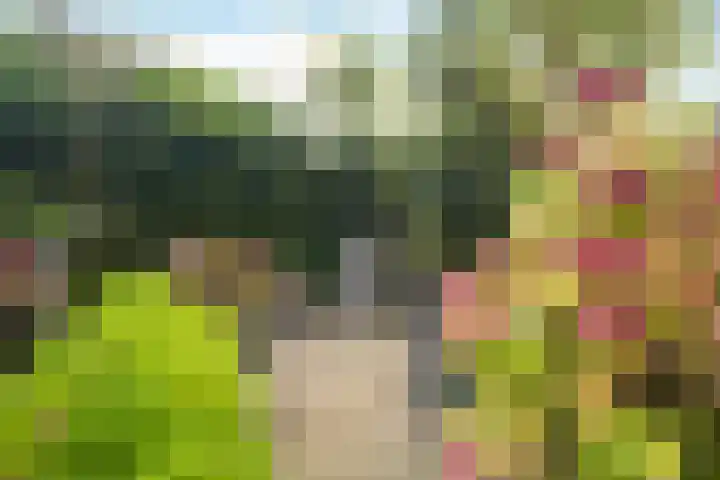 Felixwei 43 Stiens thumbnail 25