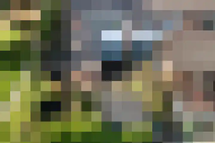 Felixwei 43 Stiens thumbnail 37
