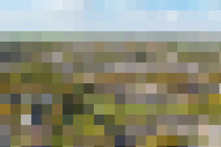 Felixwei 43 Stiens thumbnail 38