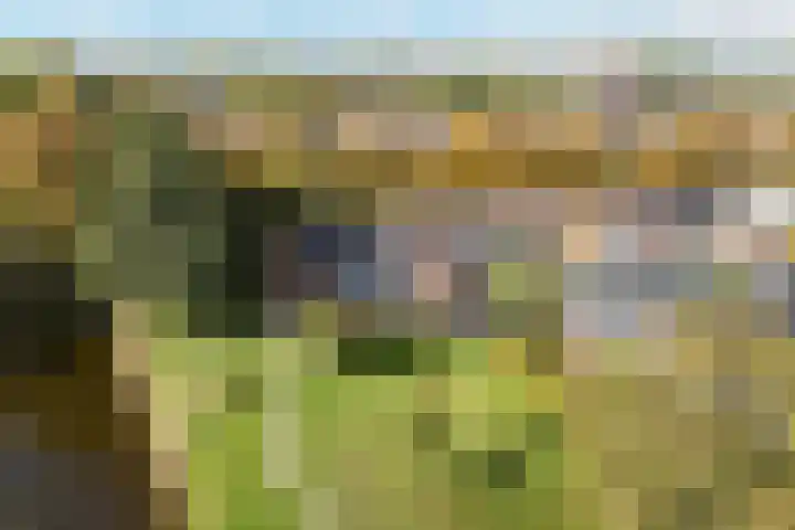 Felixwei 43 Stiens thumbnail 39