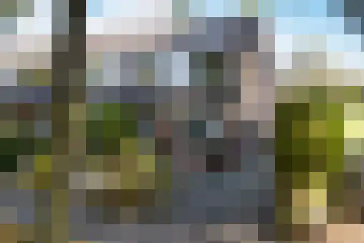 Felixwei 43 Stiens thumbnail 4