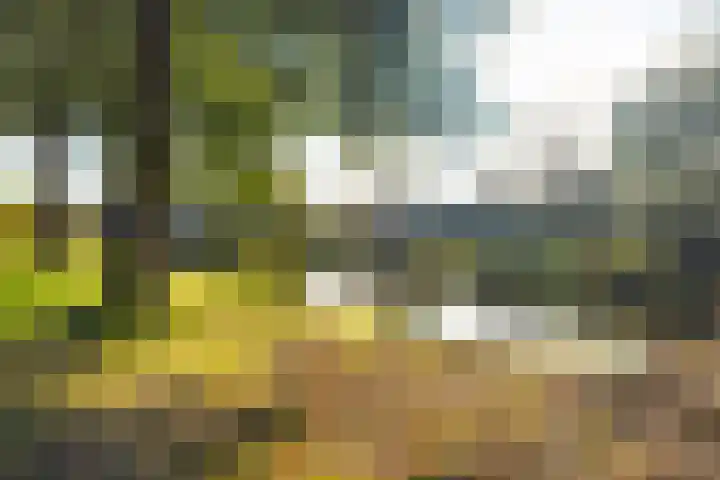 Felixwei 43 Stiens thumbnail 41