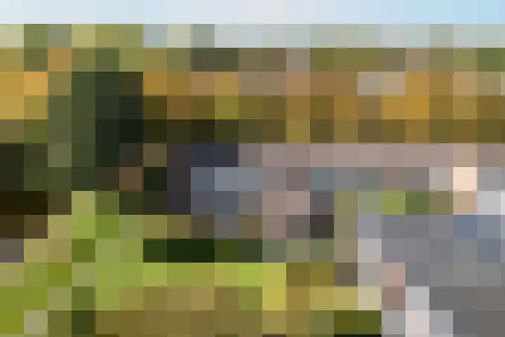 Felixwei 43 Stiens thumbnail 42