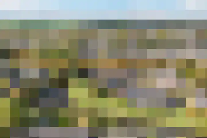 Felixwei 43 Stiens thumbnail 43