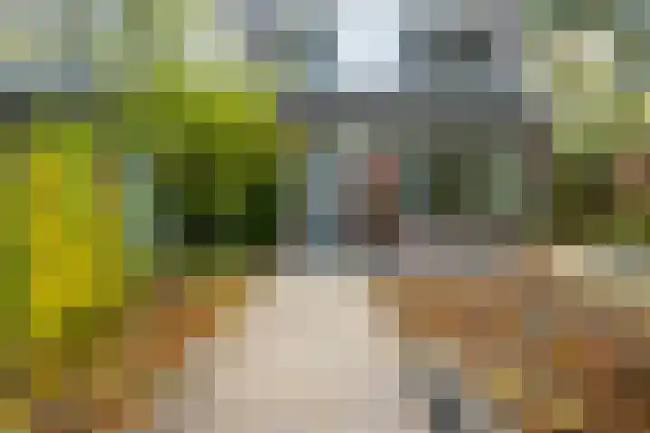 Felixwei 43 Stiens thumbnail 7