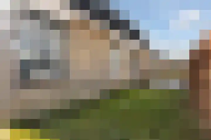 Felixwei 70 Stiens thumbnail 10