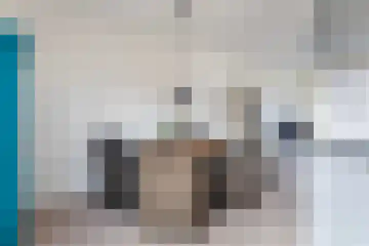 Felixwei 70 Stiens thumbnail 24