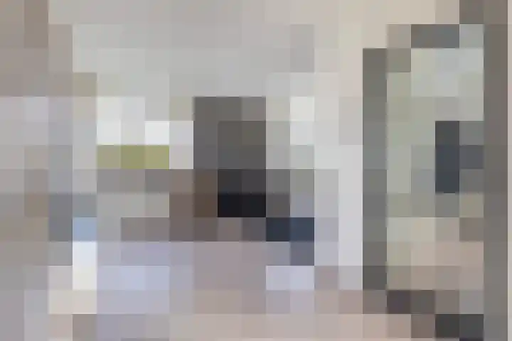 Felixwei 70 Stiens foto 3