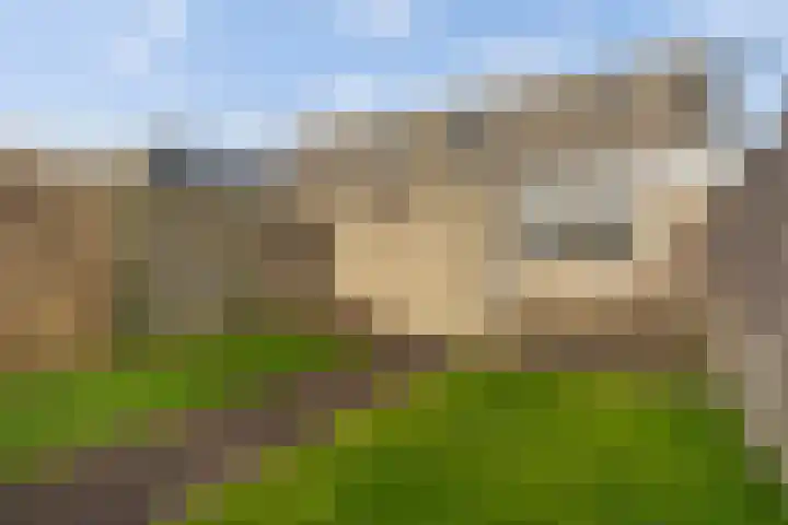 Felixwei 70 Stiens thumbnail 35