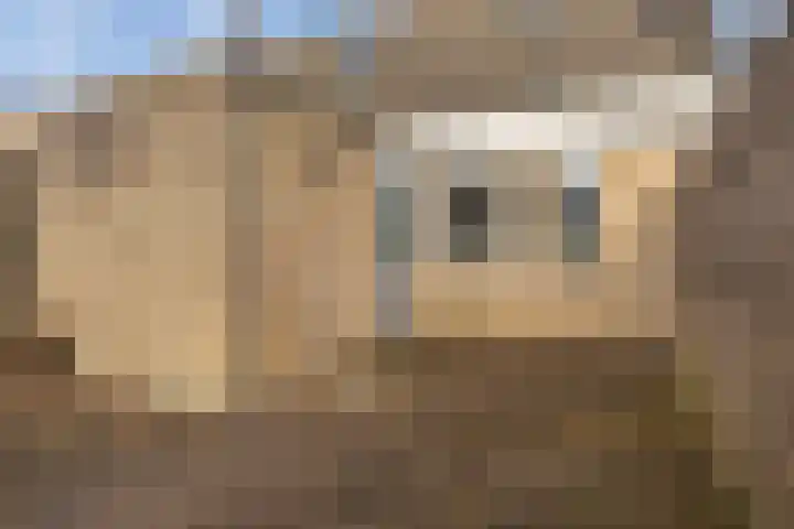 Felixwei 70 Stiens thumbnail 38