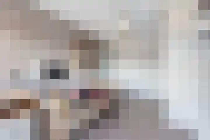 Felixwei 70 Stiens thumbnail 45
