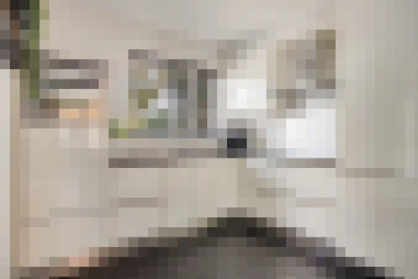 Fellenbeemd 15 Someren thumbnail 10