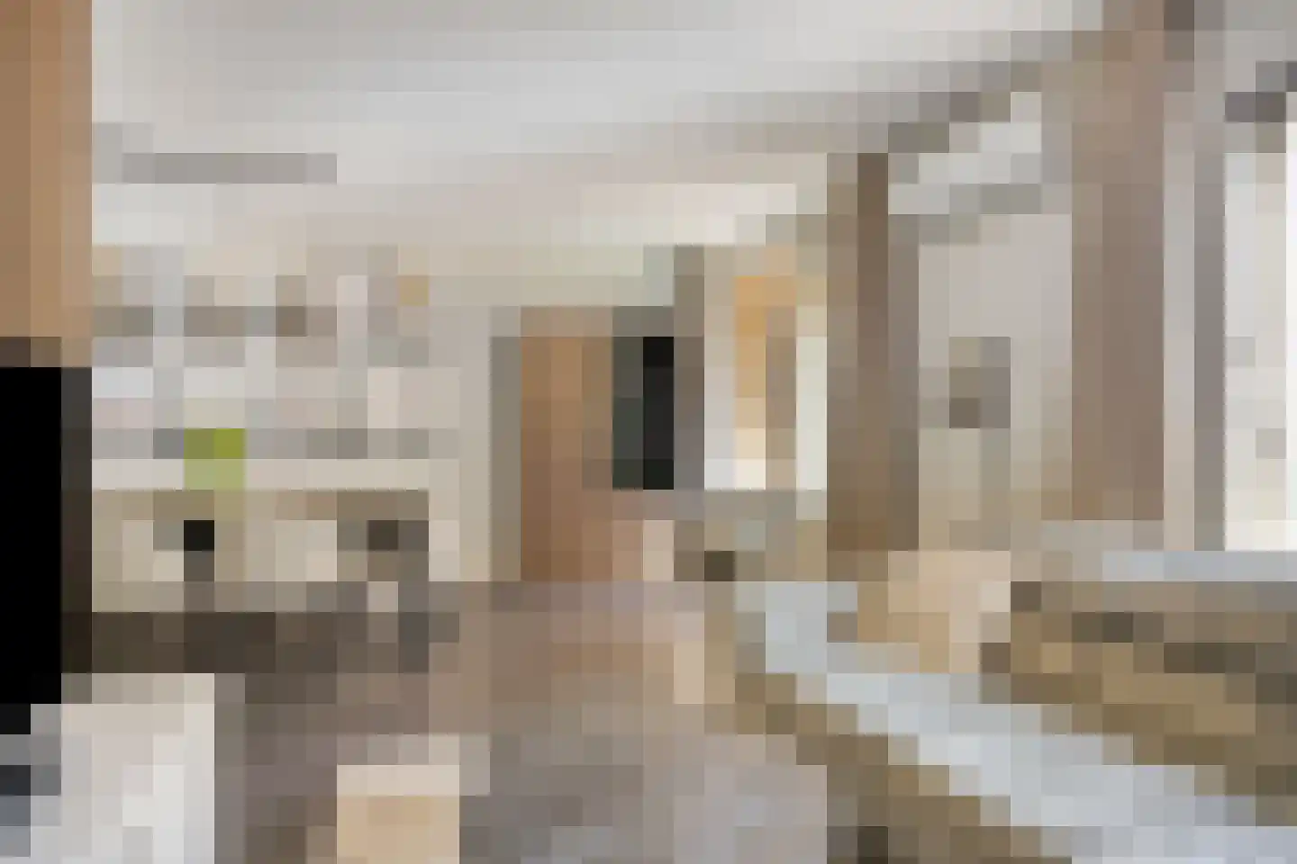 Fellenbeemd 15 Someren thumbnail 7