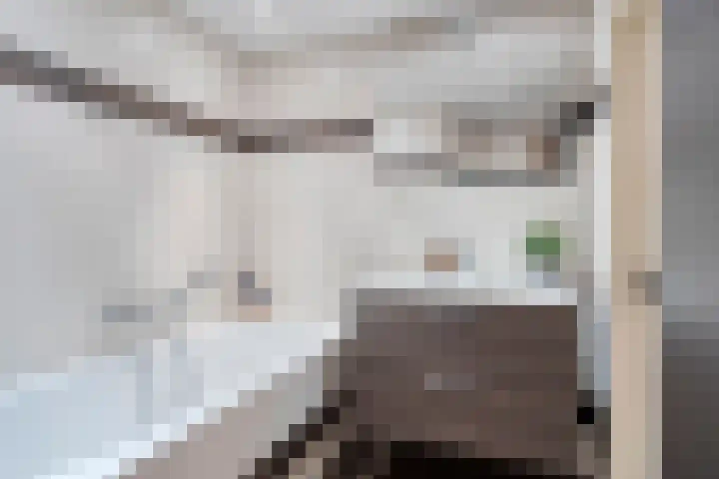 Fellenbeemd 7 Someren thumbnail 23