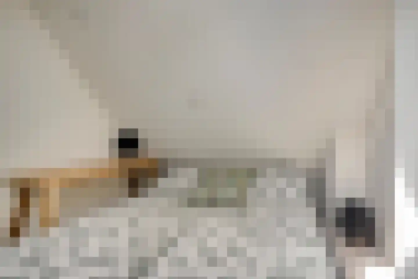 Fellenbeemd 7 Someren thumbnail 28