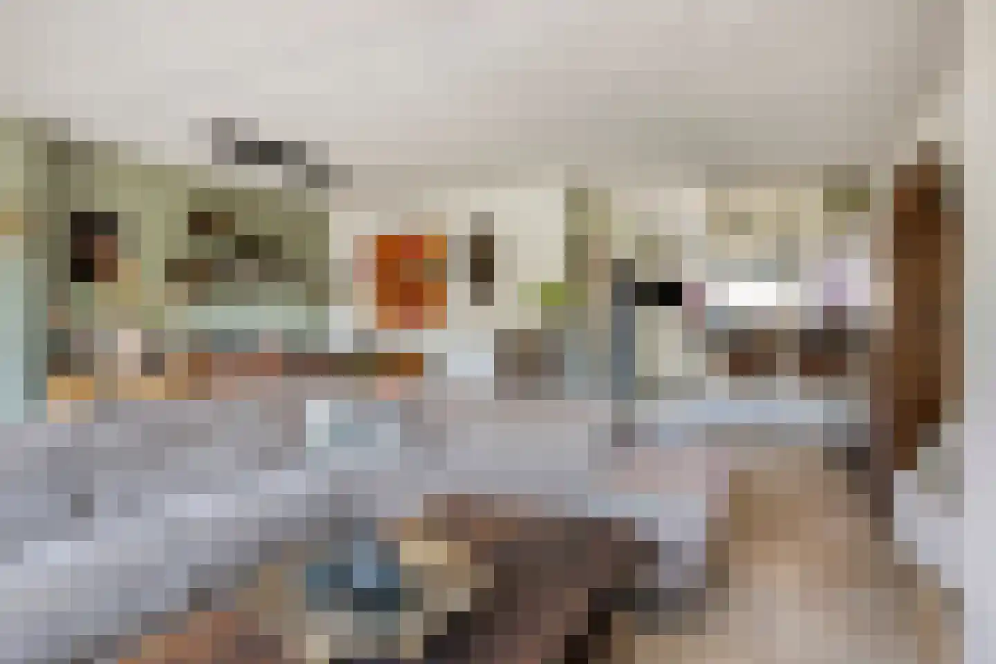 Fellenbeemd 7 Someren thumbnail 7