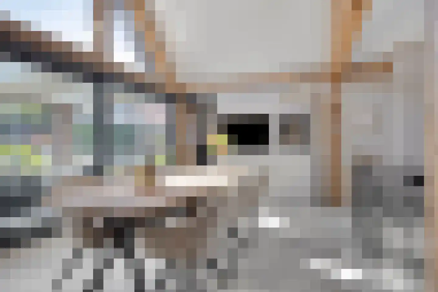 Fellenoord 16 Boxtel thumbnail 26