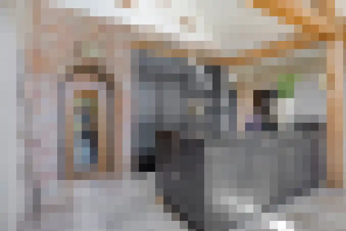 Fellenoord 16 Boxtel thumbnail 30