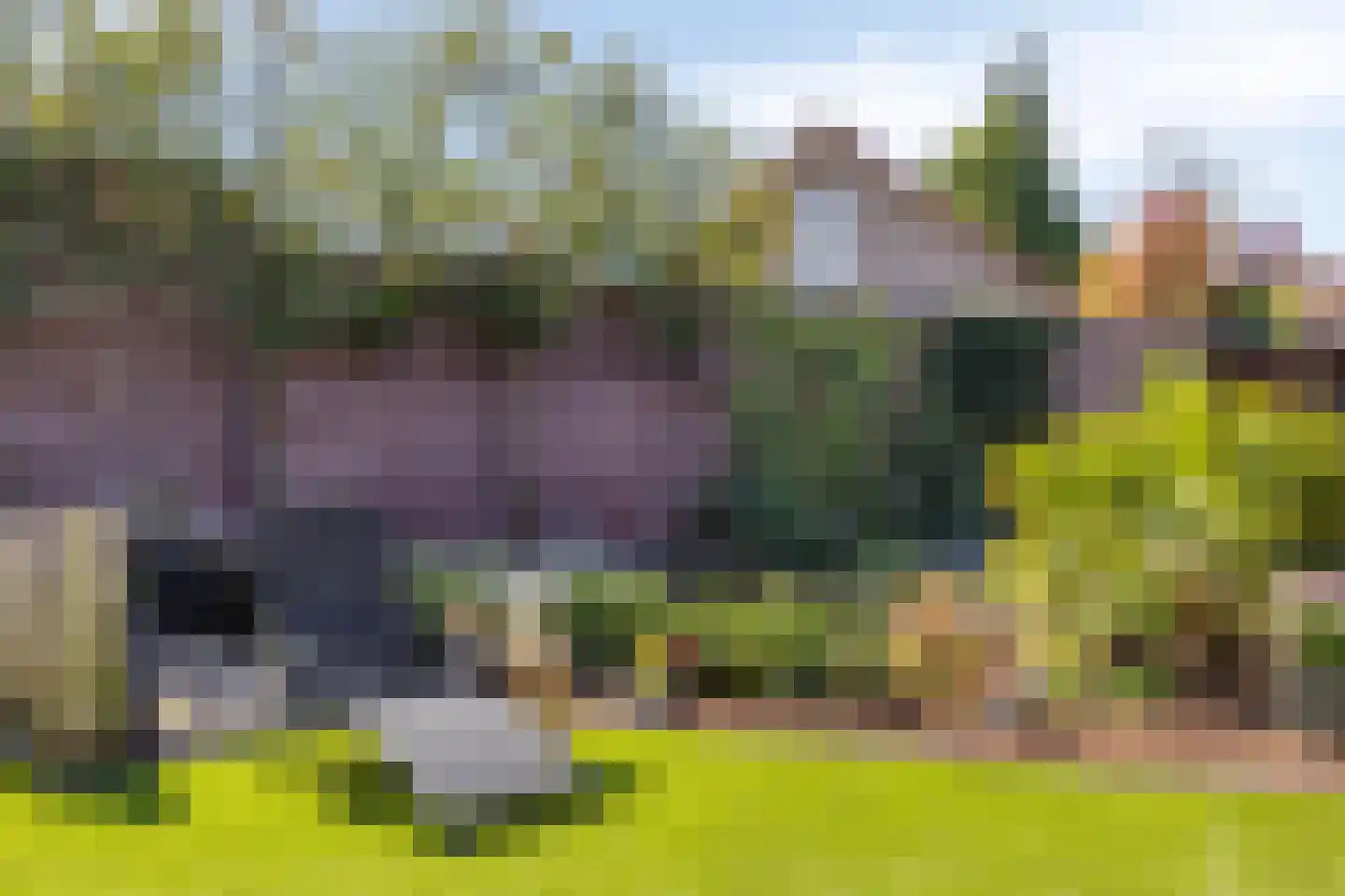 Fellenoord 16 Boxtel thumbnail 74