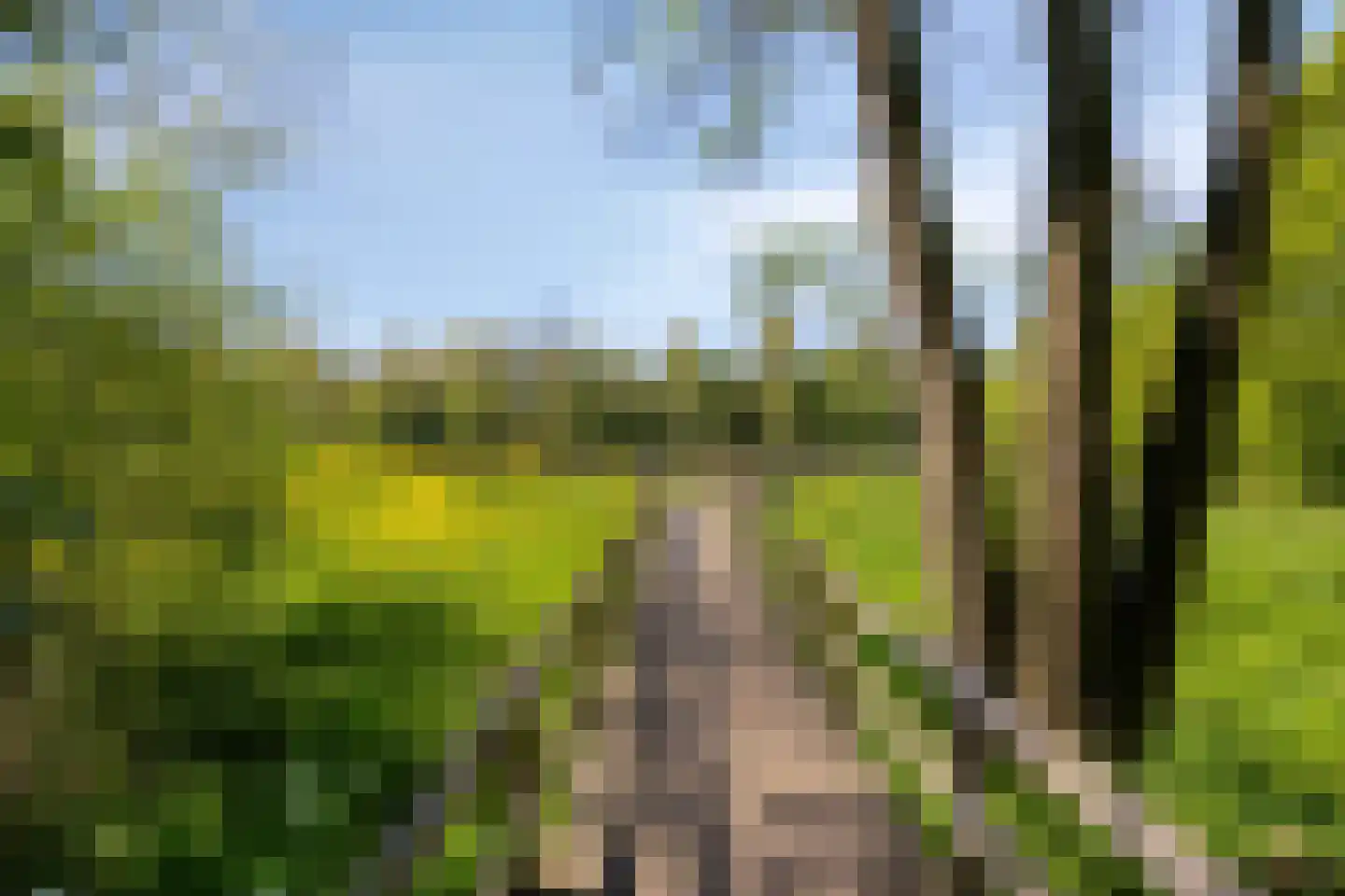 Fellenoord 16 Boxtel thumbnail 87
