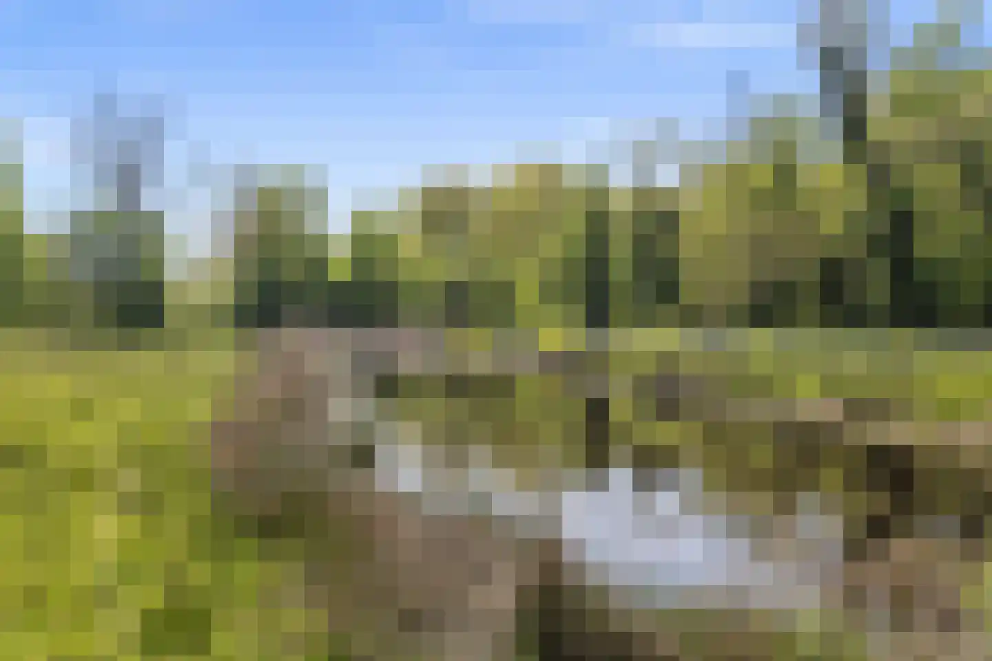 Fellenoord 16 Boxtel thumbnail 89