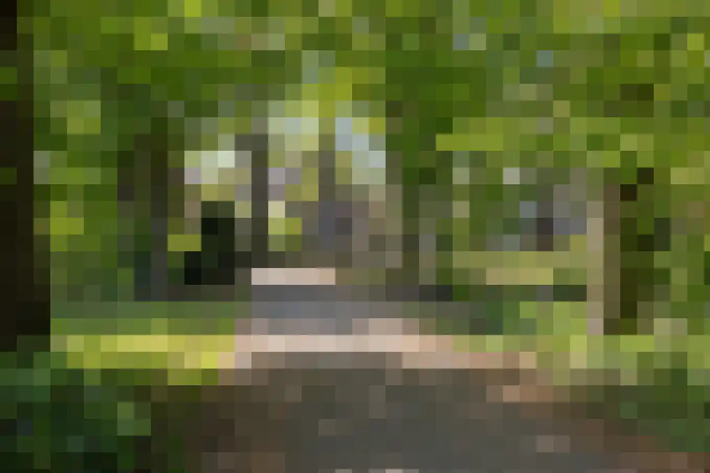 Fellenoord 16 Boxtel thumbnail 91