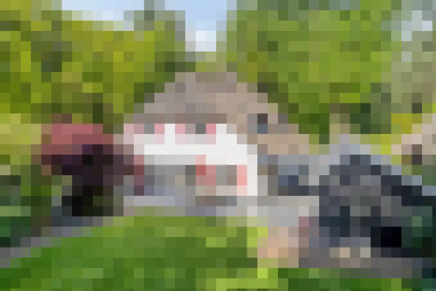 Fellenoord 2 in Drunen