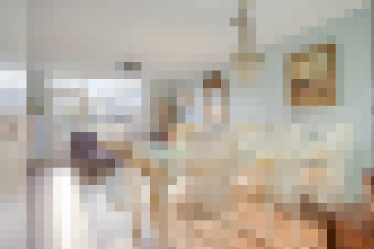 Fellenoordstraat 12 Breda thumbnail 13