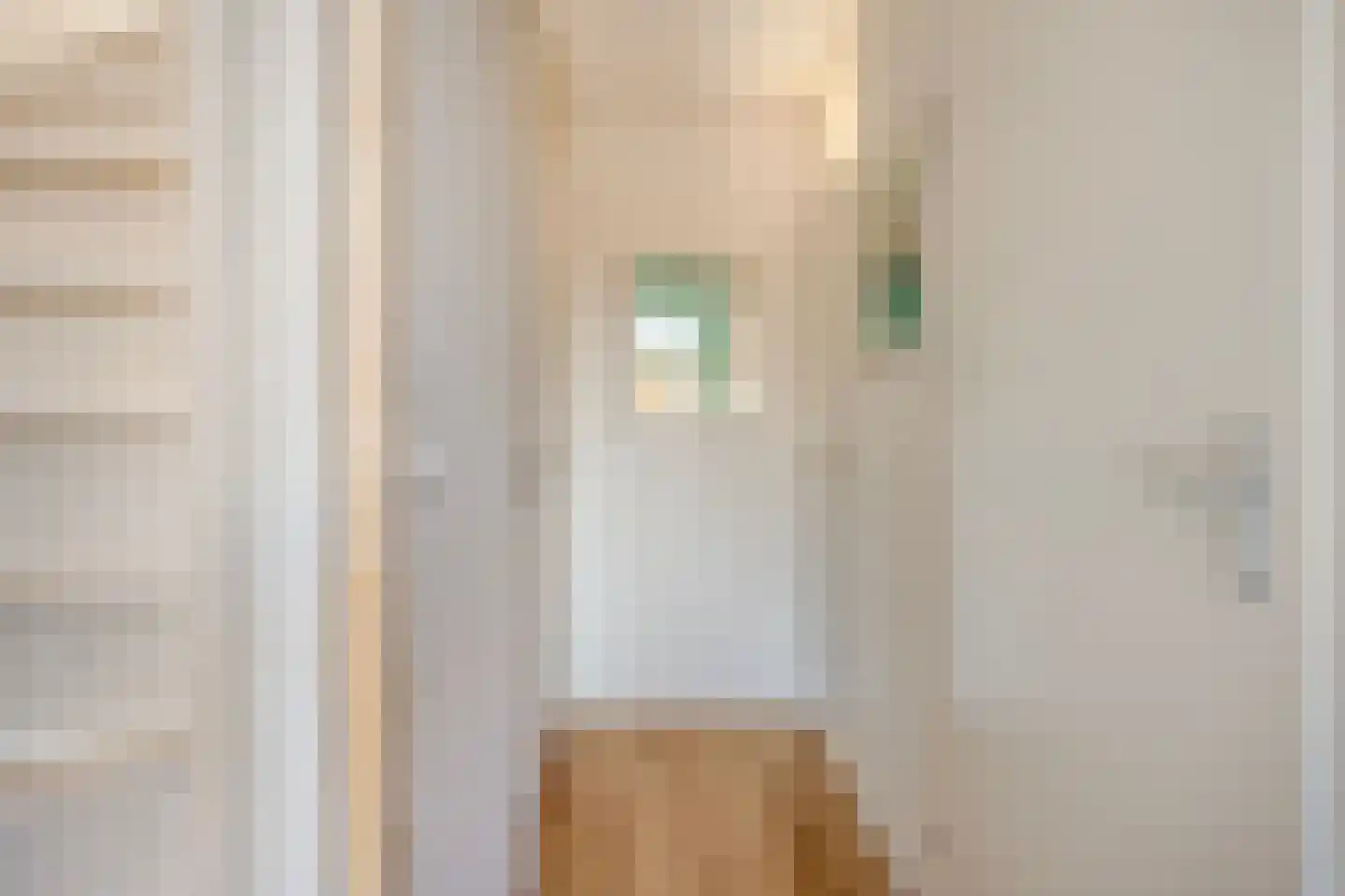 Fellenoordstraat 12 Breda thumbnail 17