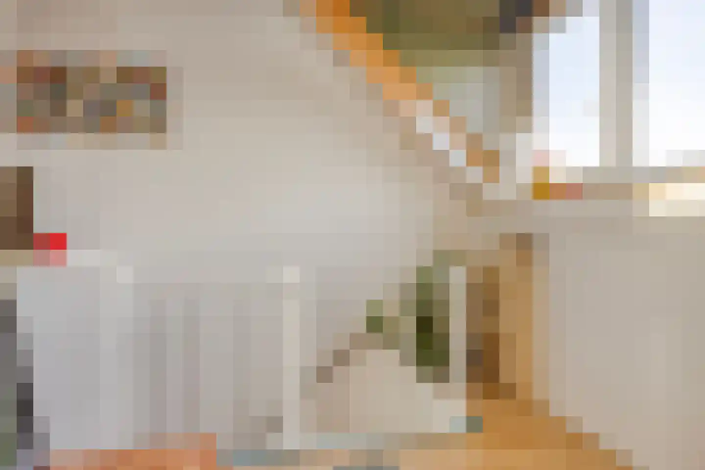 Fellenoordstraat 12 Breda thumbnail 27