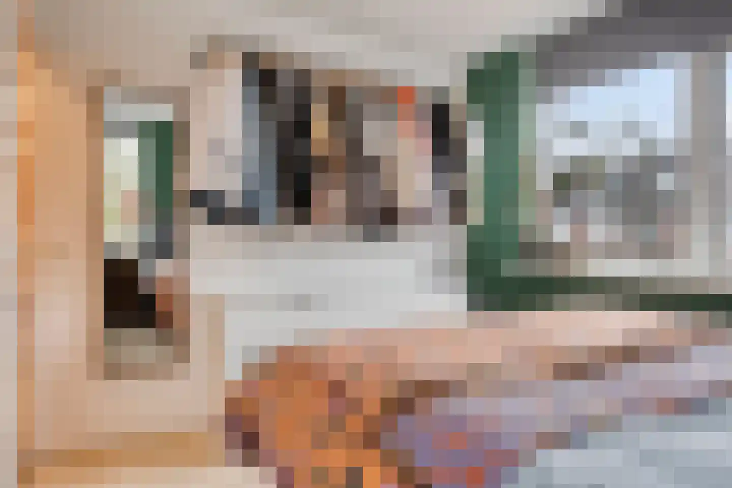 Fellenoordstraat 22 Breda thumbnail 10