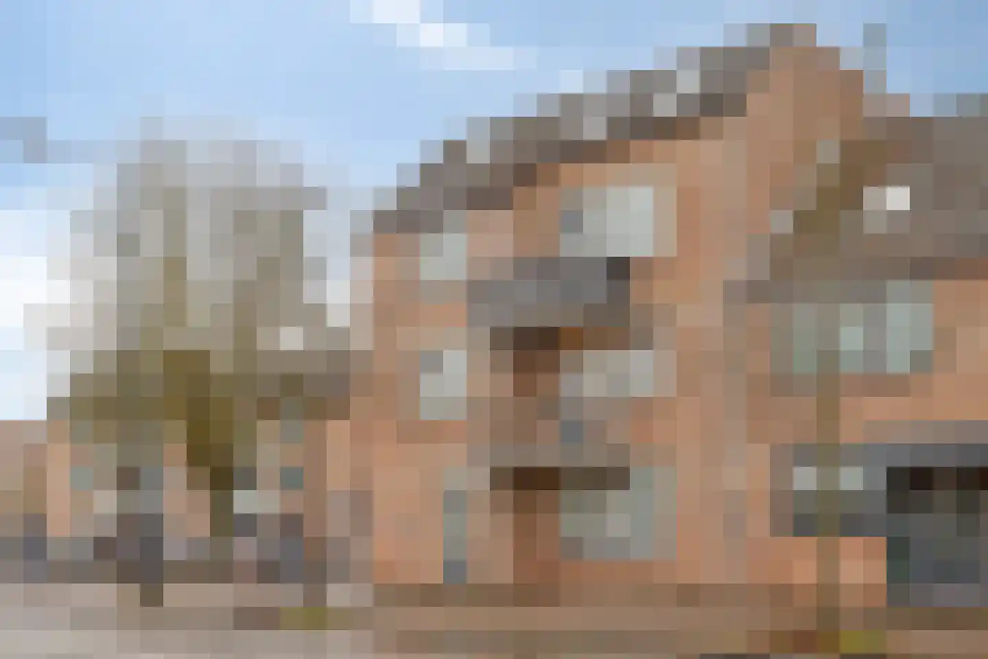 Fellenoordstraat 22 Breda thumbnail 13