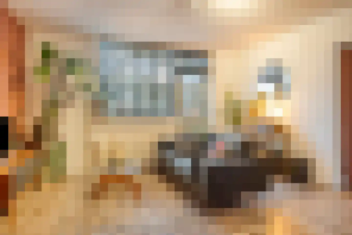 Fellenoordstraat 22 Breda thumbnail 4