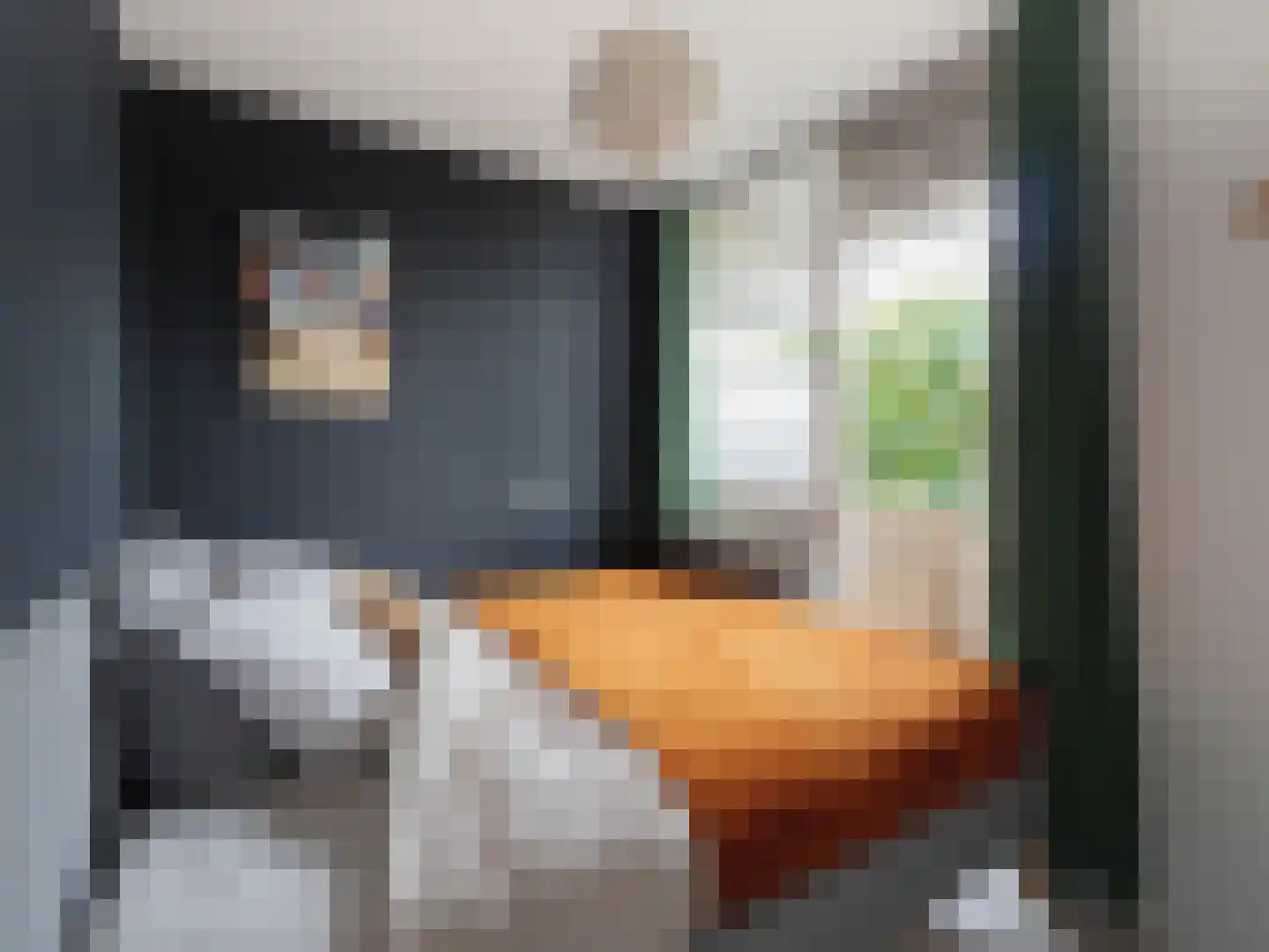 Fellenoordstraat 24 Breda thumbnail 12