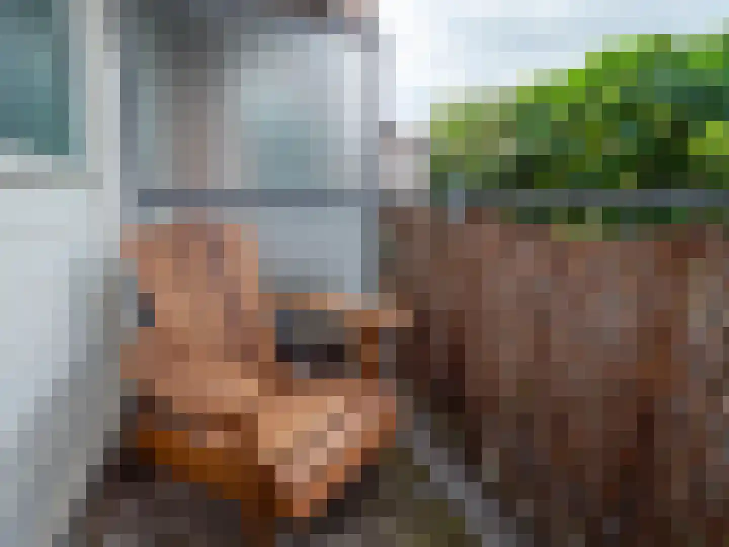 Fellenoordstraat 24 Breda thumbnail 15