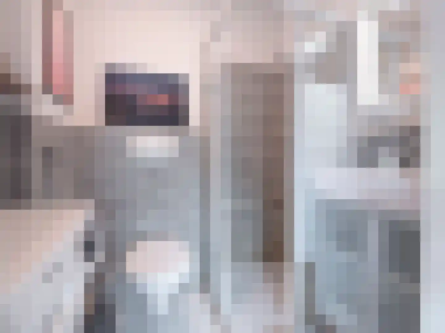 Fellenoordstraat 24 Breda thumbnail 18