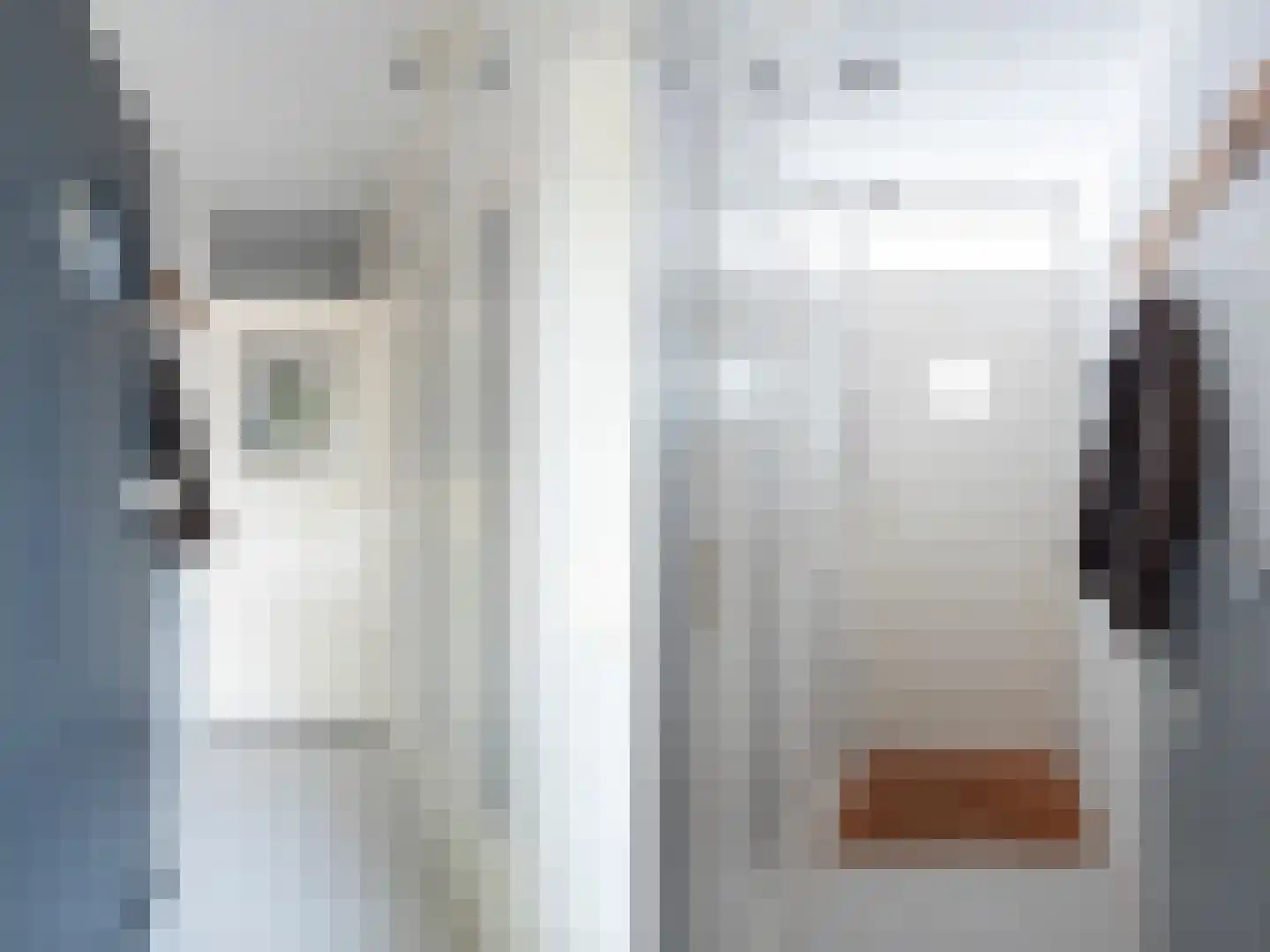 Fellenoordstraat 24 Breda thumbnail 21