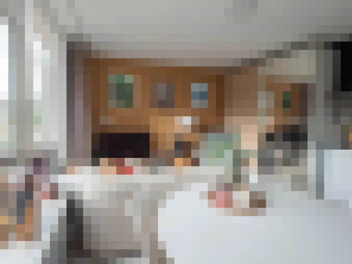 Fellenoordstraat 24 Breda thumbnail 5