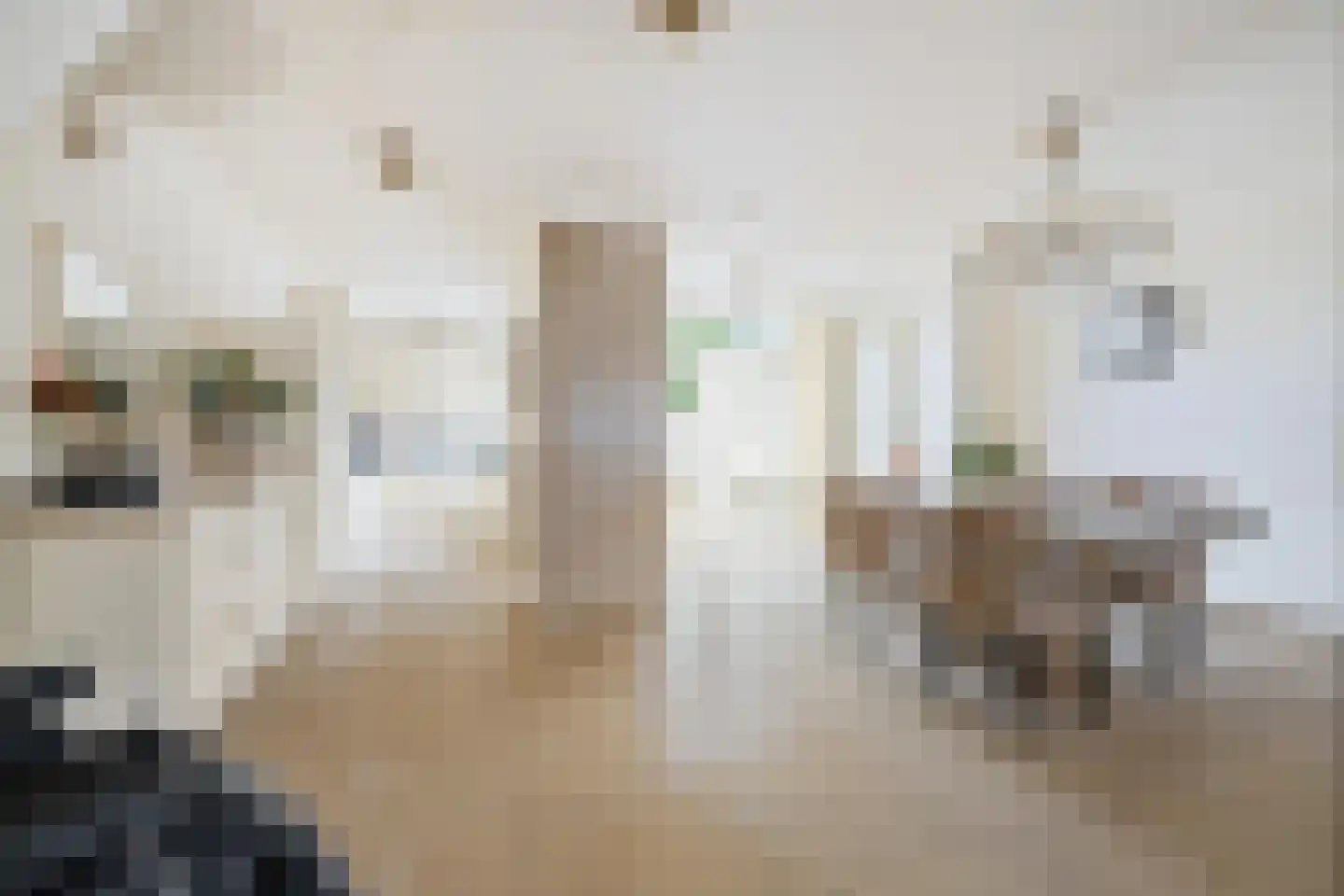 Fellenoordstraat 47 Breda thumbnail 14