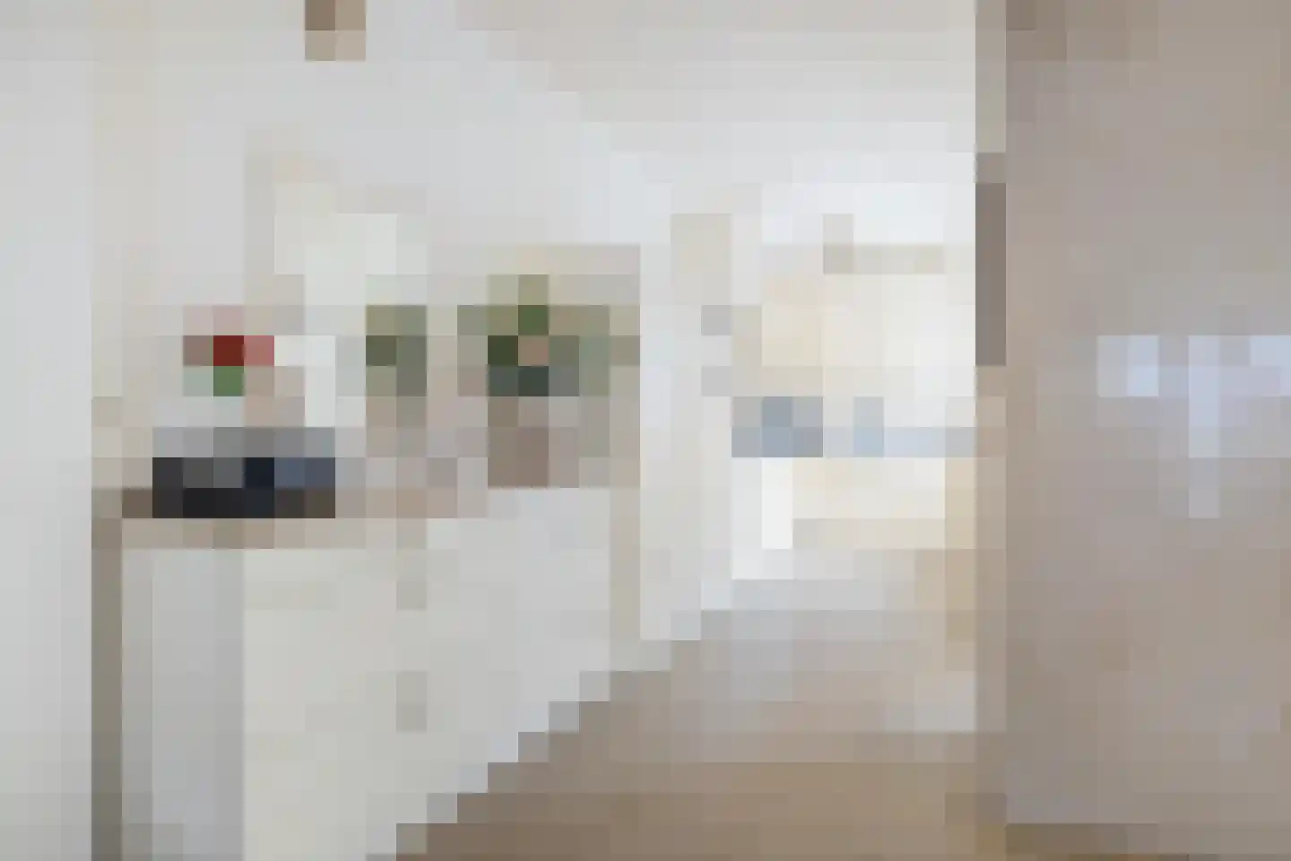 Fellenoordstraat 47 Breda thumbnail 16
