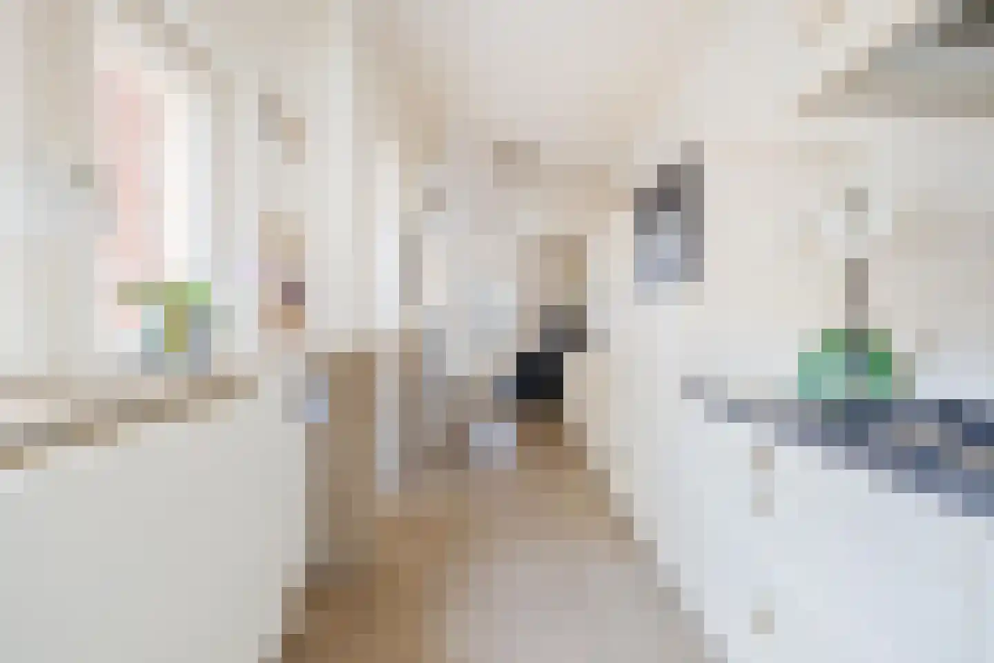 Fellenoordstraat 47 Breda thumbnail 19