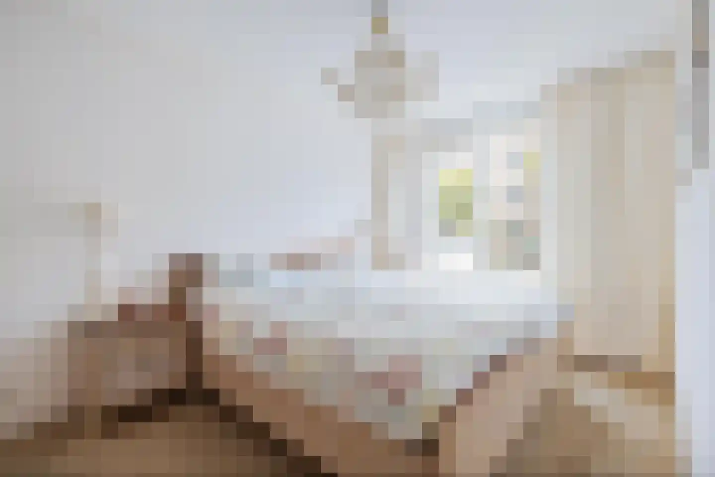 Fellenoordstraat 47 Breda thumbnail 23