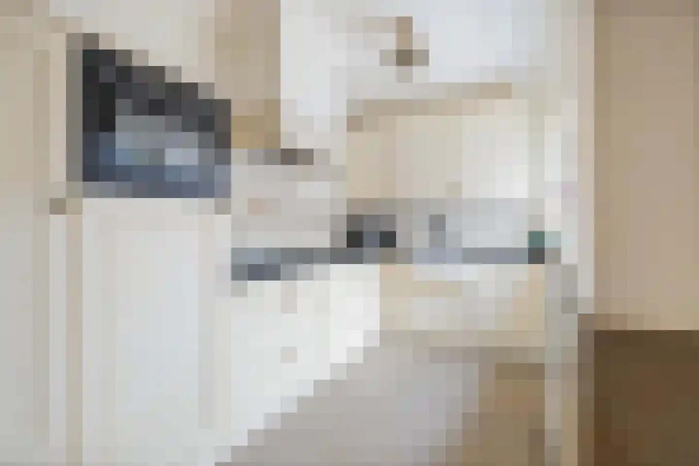 Fellenoordstraat 47 Breda thumbnail 4