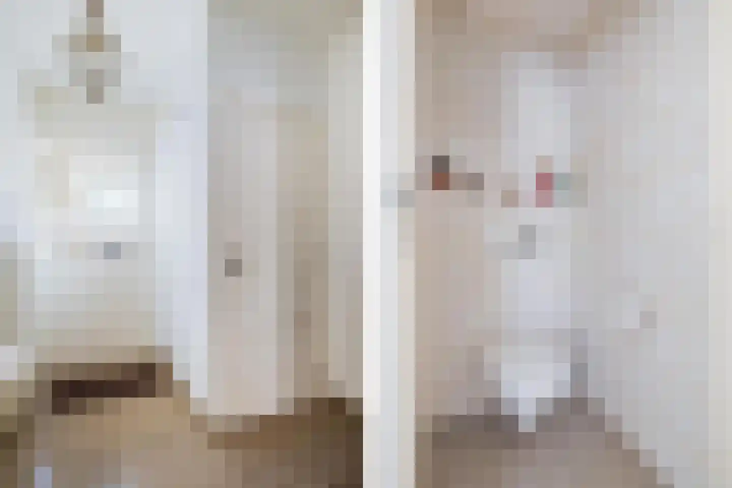 Fellenoordstraat 47 Breda thumbnail 5